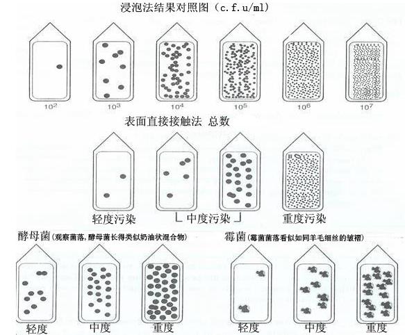 對照圖