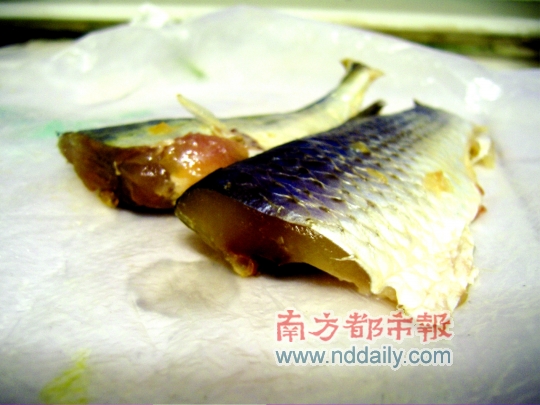 買回的魚肉 夜半會發光