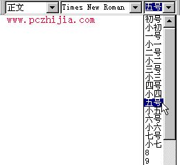 WPSOffice辦公組合之文字修飾