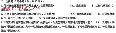 Word：選擇題轉換成為數據庫格式