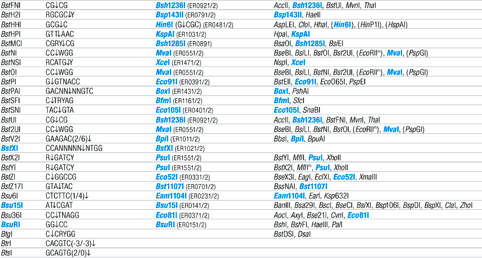 Alphabetic List of Commercial Isoschizomers and Corresponding Fermentas Restriction Endonucleases (B)