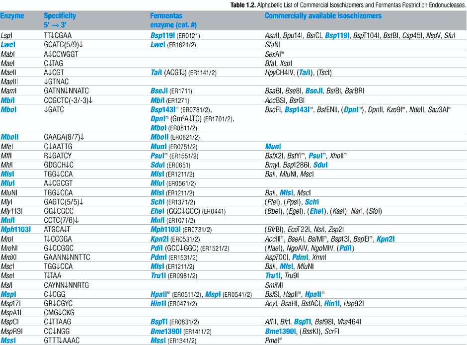 Alphabetic List of Commercial Isoschizomers and Corresponding Fermentas Restriction Endonucleases (L, M, N, O)