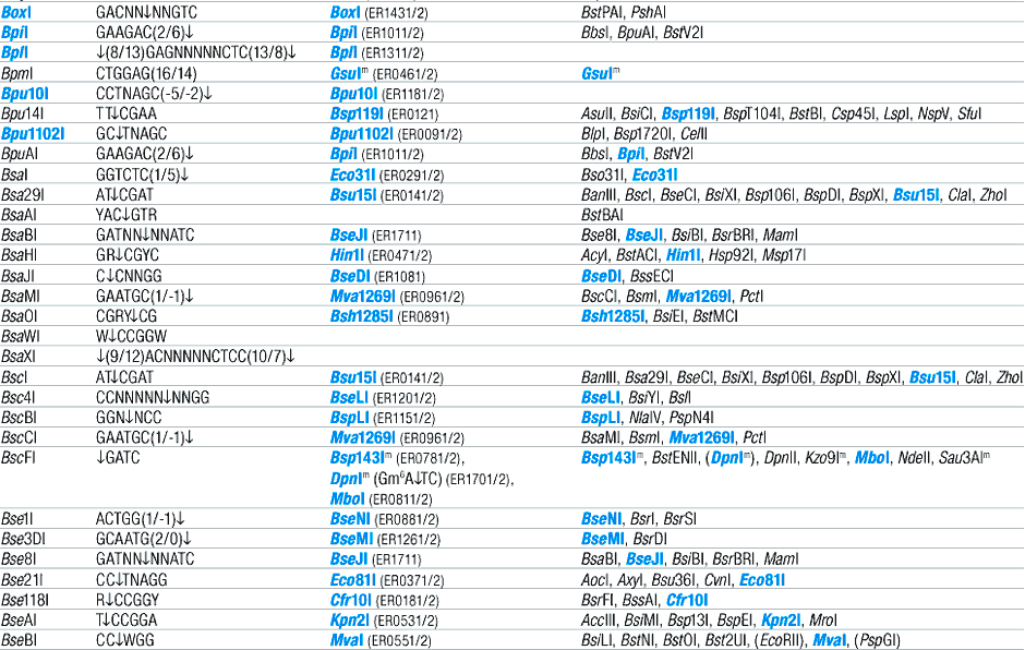 Alphabetic List of Commercial Isoschizomers and Corresponding Fermentas Restriction Endonucleases (B)