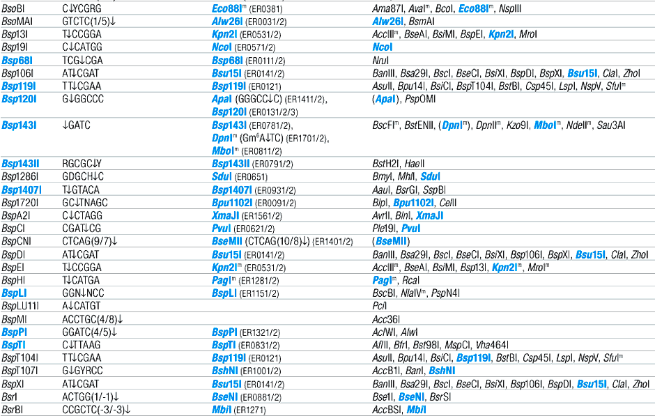 Alphabetic List of Commercial Isoschizomers and Corresponding Fermentas Restriction Endonucleases (B)